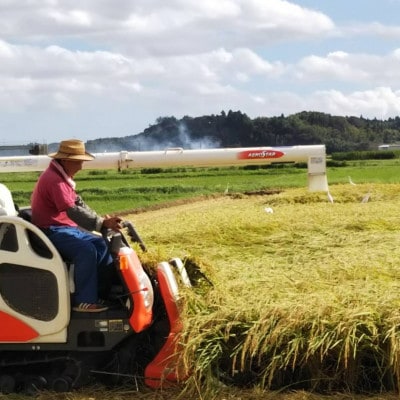 多古米グランプリ常連　佐藤さんのコシヒカリ【令和7年産玄米5kg】【配送不可地域：離島】【1483707】