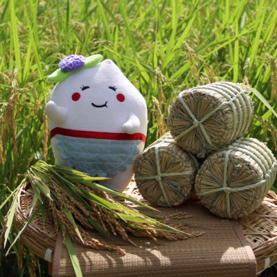 多古米セレクション　柏原徹さんの多古米コシヒカリ　玄米5kg　令和7年産【配送不可地域：離島】【1655245】