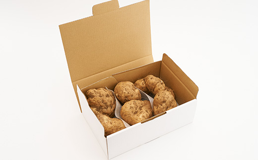 やまと芋の町!多古から「秋山農園のやまと芋」2kg(どろ付き)【1459872】