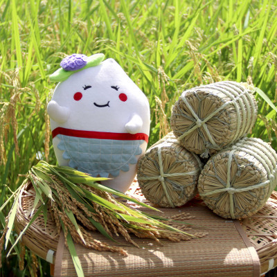 厳選多古米コシヒカリ　精米5kg　令和7年産【配送不可地域：離島】【1647790】