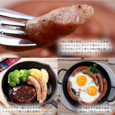 【千葉県多古町産】元気豚 ウインナーソーセージセット(36本入り)【配送不可地域：離島】【1655497】