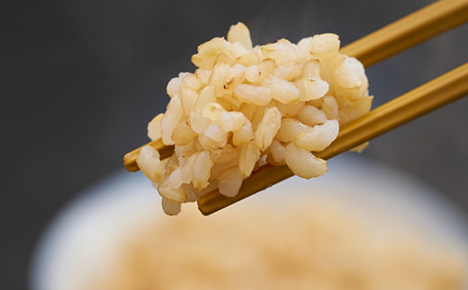 新米【令和7年産】たこまいらいふ萩原農場の多古米コシヒカリ(玄米)10kg【配送不可地域：離島・沖縄県】【1438050】