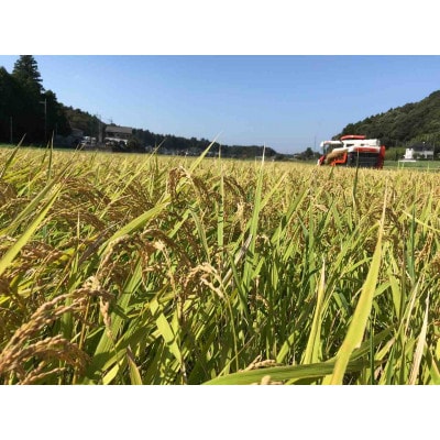 多古米パックご飯(白米)150g×6パック【配送不可地域：離島・沖縄県】【1428263】