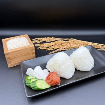 多古米セレクション　萩原佐千穂さんの多古米コシヒカリ　精米5kg　令和7年産【配送不可地域：離島】【1654400】