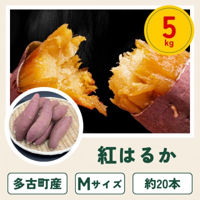 多古町産さつまいも「紅はるか」5kg【1699909】