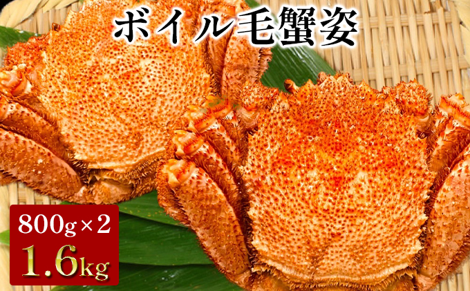 大型 ボイル毛ガニ姿　800g×2尾 1.6kg　送料無料 毛カニ 蟹 