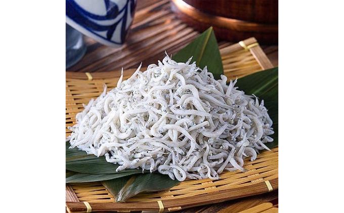 2023新春福袋A　九十九里浜の海鮮 お楽しみ 魚貝類 魚介類 鮮魚 九十九里産 はまぐり しらる 牡蠣 伊勢海老 鮑 しらす 