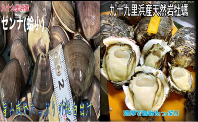 期間限定品純白出汁の天然”ゼンナ”とうま味が濃い天然岩牡蠣セット各3kg　合計6kg 魚貝類 海の幸 海鮮 貝 天然はまぐり 直送 生牡蠣 九十九里浜産
