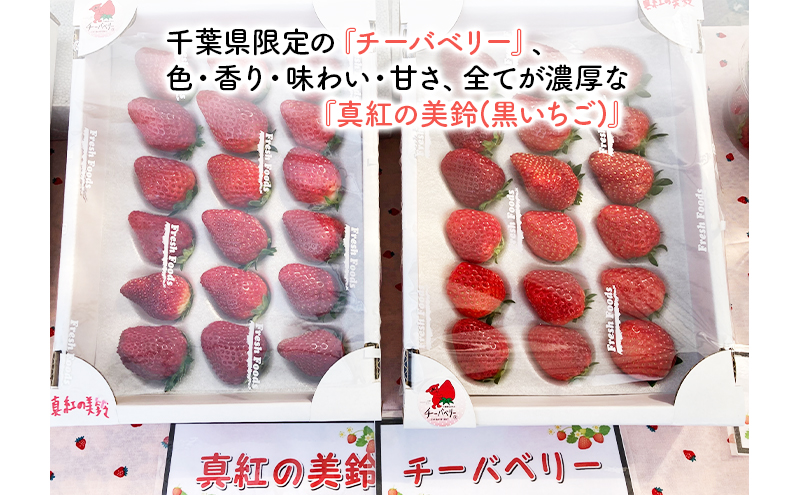 いちご　種類おまかせ　2箱　1セット（1箱12粒～18粒）合計1キロ以上