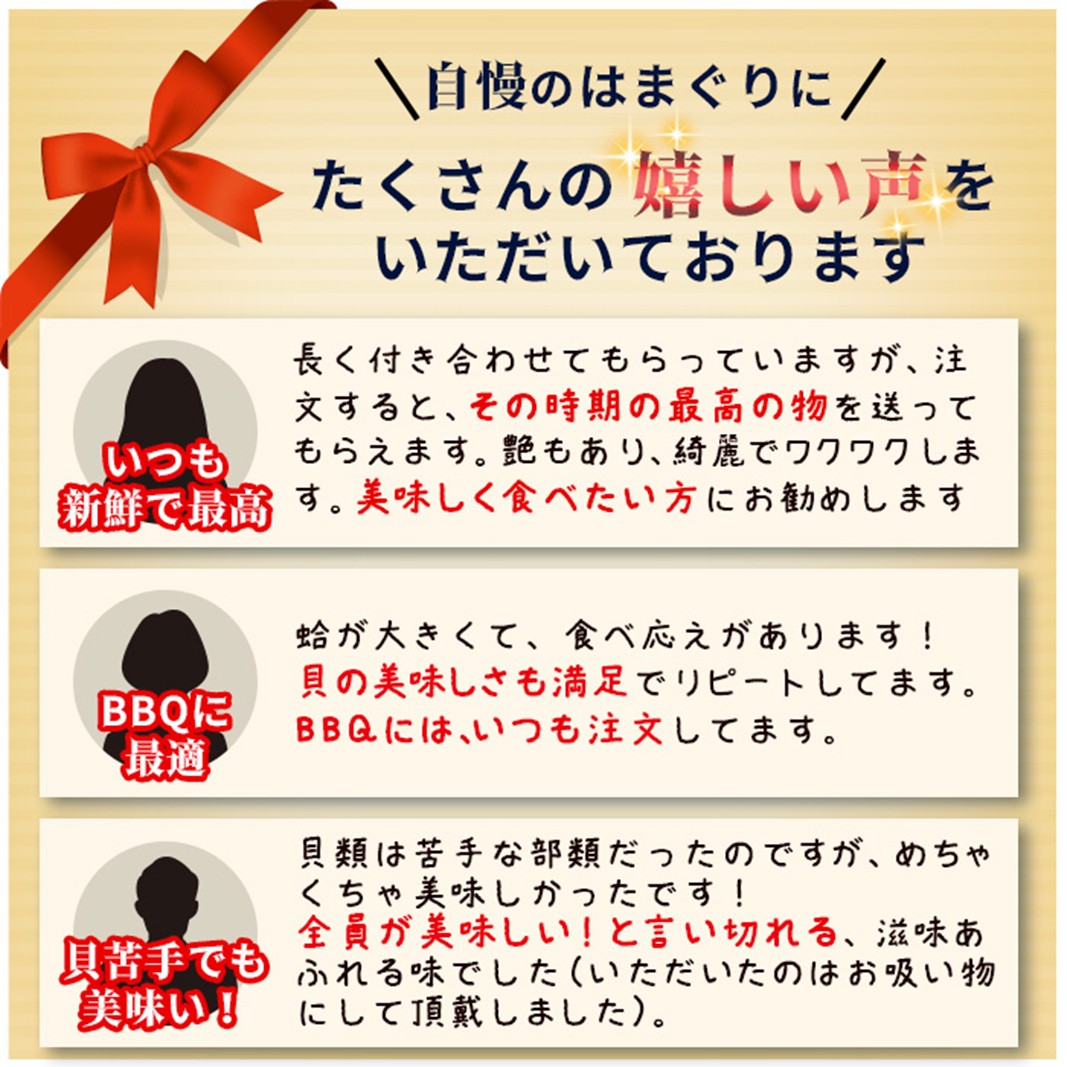 訳あり はまぐり 規格外 大はまぐり 2パック 計 800g 貝 海鮮 魚介 海の幸 ハマグリ 蛤 海産物 国産 天然 産地直送 千葉県 九十九里 九十九里浜