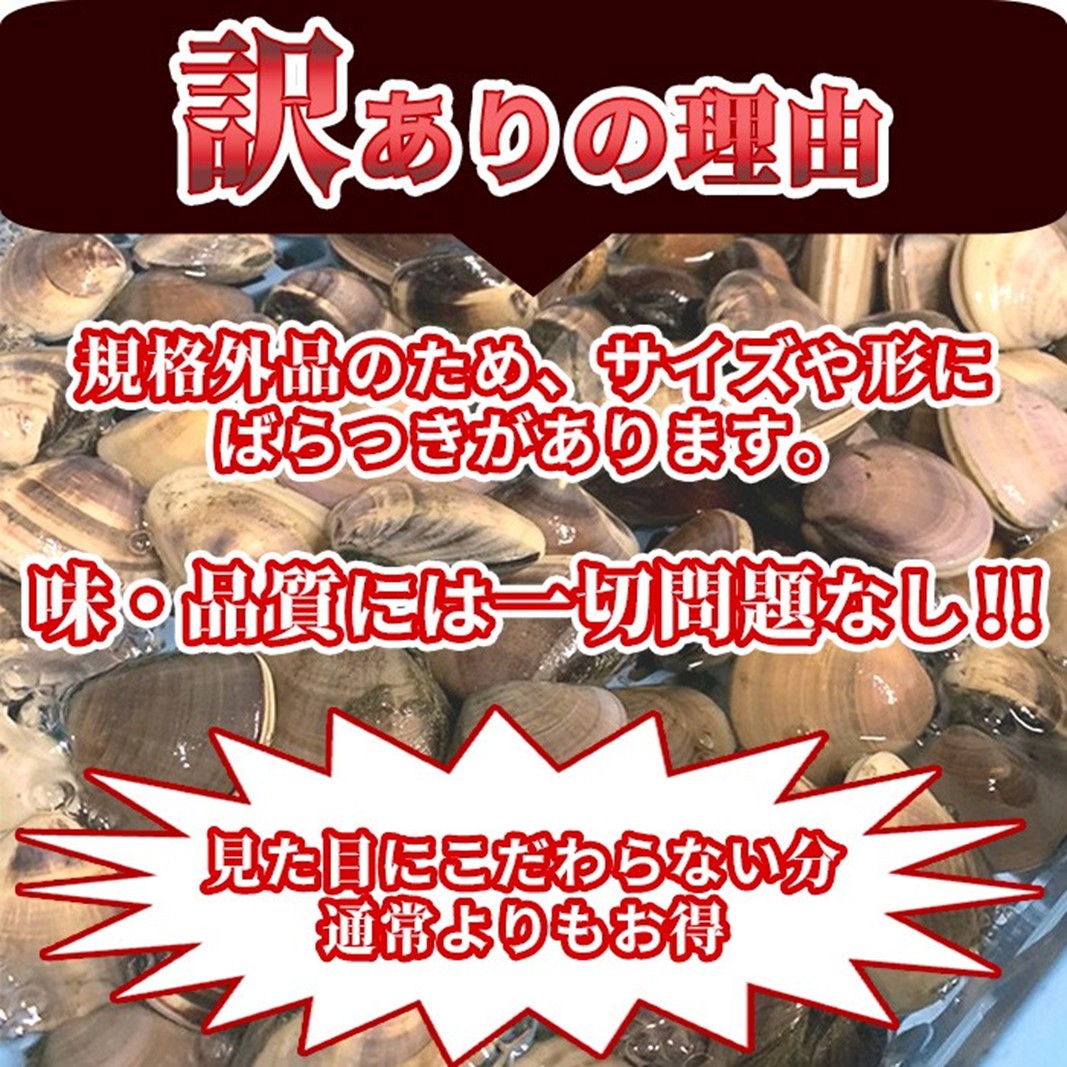 訳あり はまぐり 規格外 大はまぐり 2パック 計 800g 貝 海鮮 魚介 海の幸 ハマグリ 蛤 海産物 国産 天然 産地直送 千葉県 九十九里 九十九里浜
