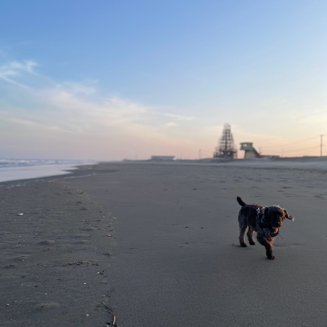 ピクニーク 施設利用券10,000円分 チケット 施設 貸切コテージ テラスハウスタイプ ペット同伴旅行 ドッグラン付 バーベキュー 真亀海岸 千葉県 九十九里町