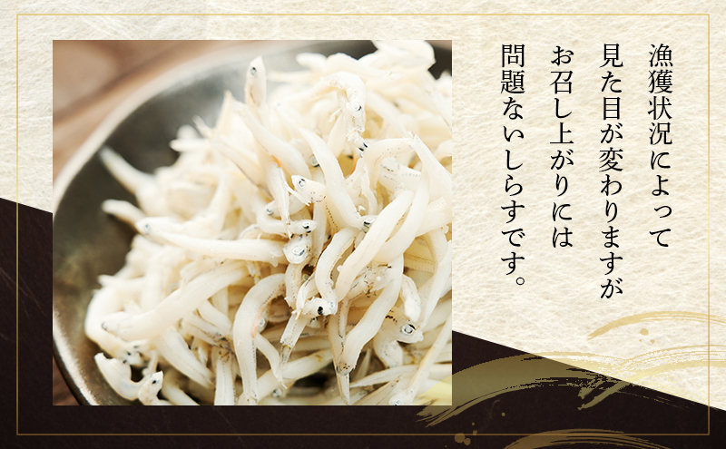 数量限定訳ありしらす干し1kg×2 しらす 不揃い 訳アリ 魚 魚介 海の幸 ごはんのお供 おかず 九十九里町 千葉県