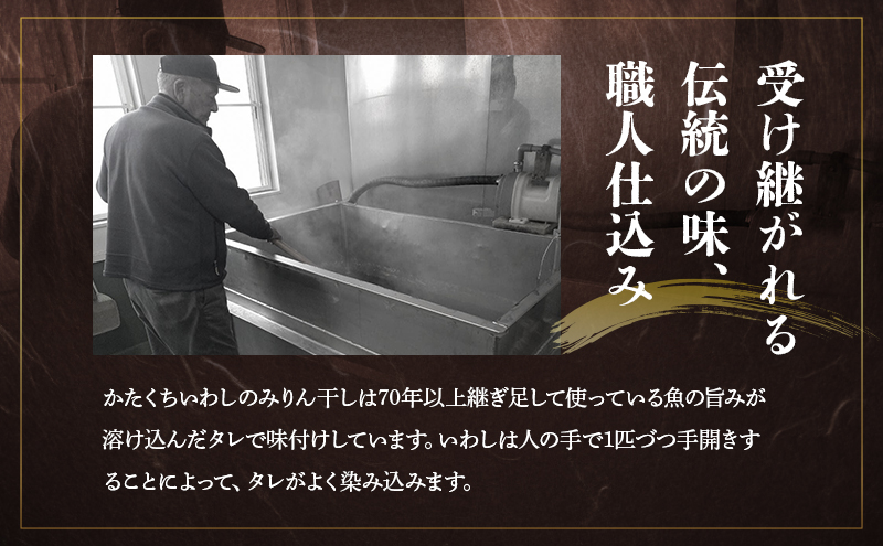いわしみりん干し小分け包装10袋セット/かたくちいわしみりん干し いわし かたくちいわし みりん干し 手開き 魚の旨み タレ 食べ比べ 小分け 九十九里町 千葉県