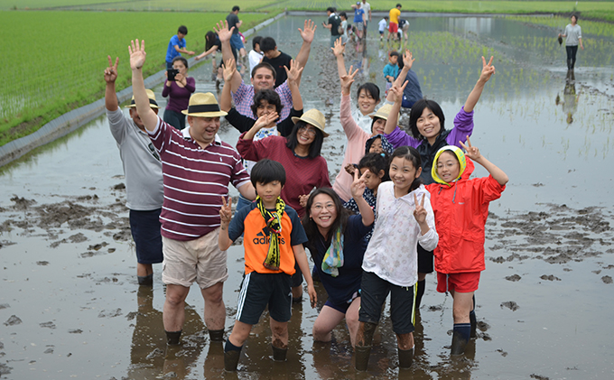 田植え体験・稲刈り体験パック型コース 田植え 稲刈り 田んぼ 体験 チケット 体験チケット 新米 農業 九十九里町 千葉県