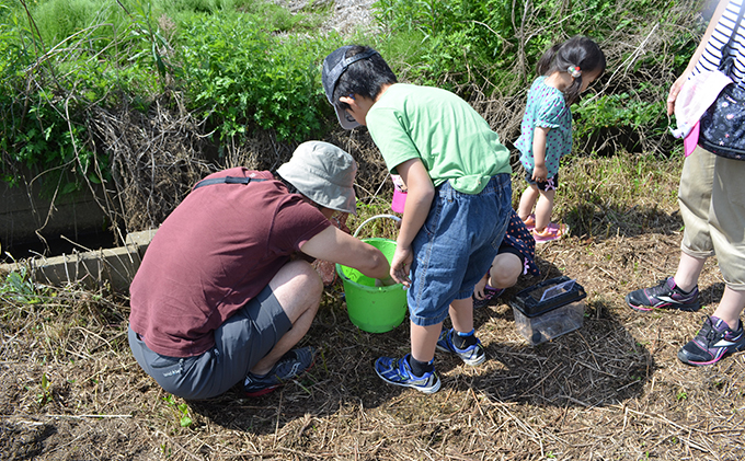 田植え体験・稲刈り体験パック型コース 田植え 稲刈り 田んぼ 体験 チケット 体験チケット 新米 農業 九十九里町 千葉県