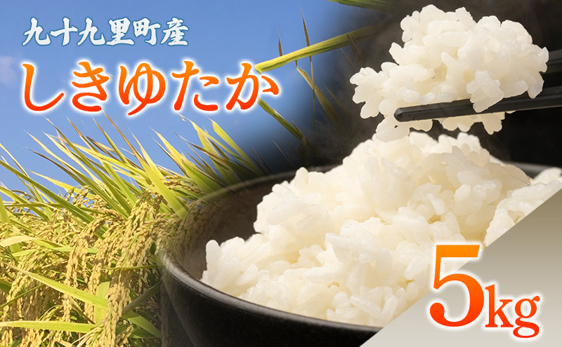 九十九里町産 しきゆたか 5キロ お米 白米 精米 ご飯 こめ コメ おこめ ごはん 千葉 九十九里町