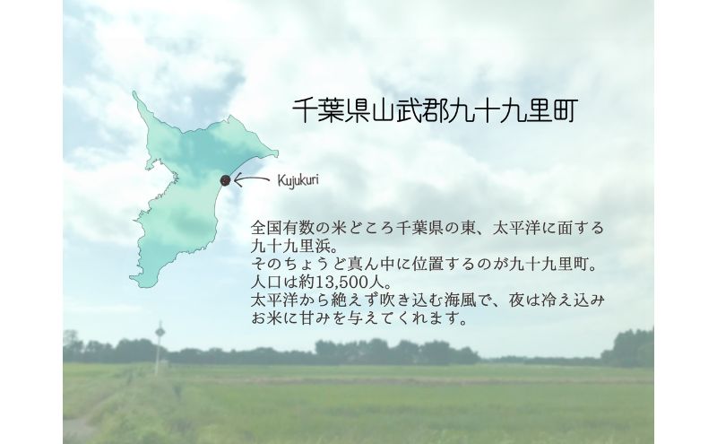お米 千葉県産コシヒカリ5kg 米 コメ 精米 白米 甘い コシヒカリ こしひかり 九十九里町 千葉県