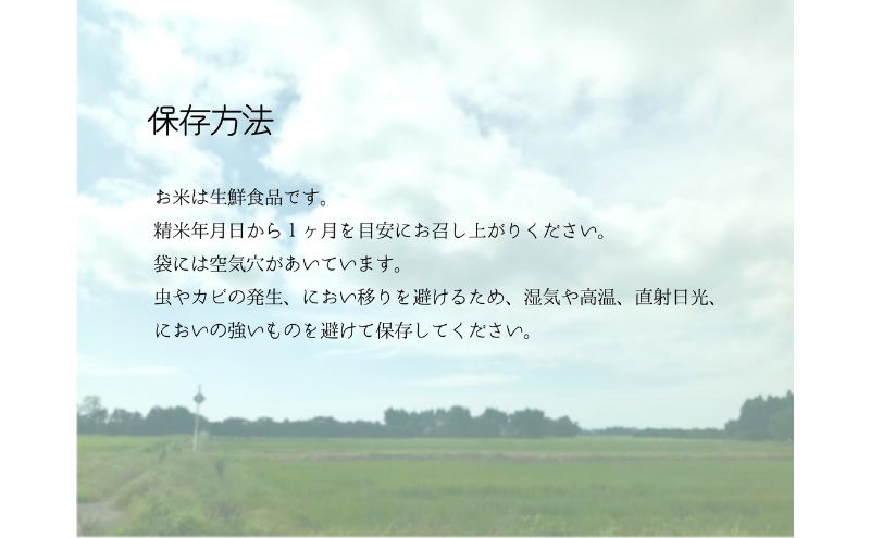 お米 千葉県産コシヒカリ5kg 米 コメ 精米 白米 甘い コシヒカリ こしひかり 九十九里町 千葉県