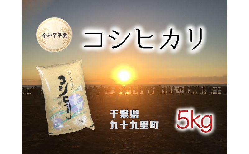 【2026.5楽天注目の寄付額の返礼品特集】お米 千葉県産コシヒカリ5kg 米 コメ 精米 白米 甘い コシヒカリ こしひかり 九十九里町 千葉県