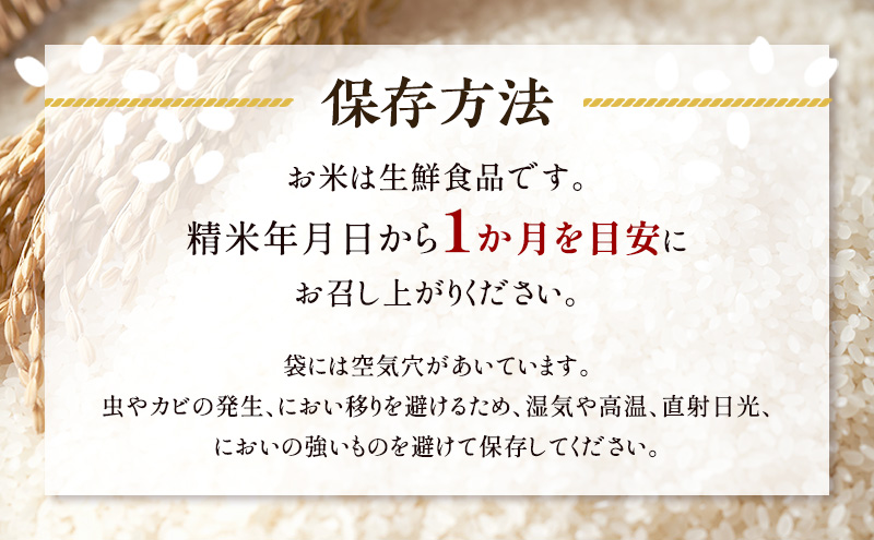お米 千葉県産コシヒカリ5kg 米 コメ 精米 白米 甘い コシヒカリ こしひかり 九十九里町 千葉県