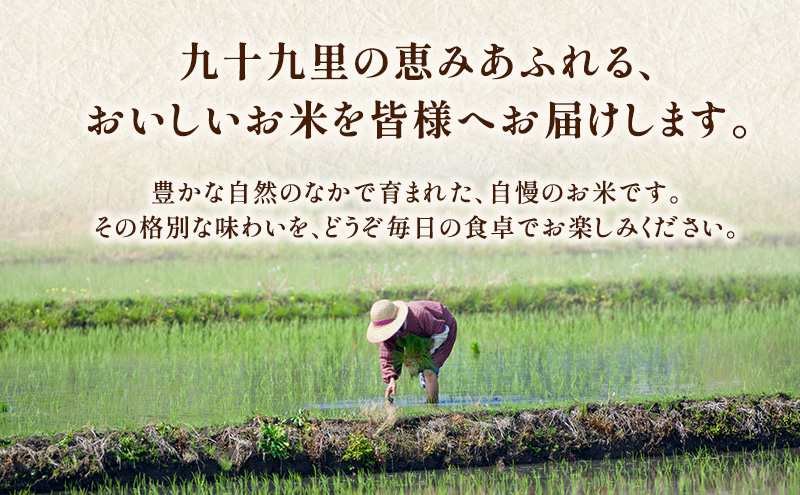お米 千葉県産コシヒカリ5kg 米 コメ 精米 白米 甘い コシヒカリ こしひかり 九十九里町 千葉県