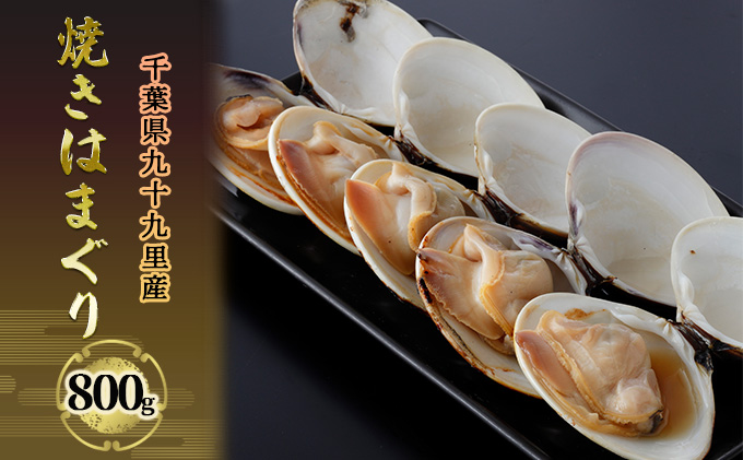 千葉県九十九里産 焼きはまぐり 800g 魚介類 貝類 魚貝類 はまぐり 蛤