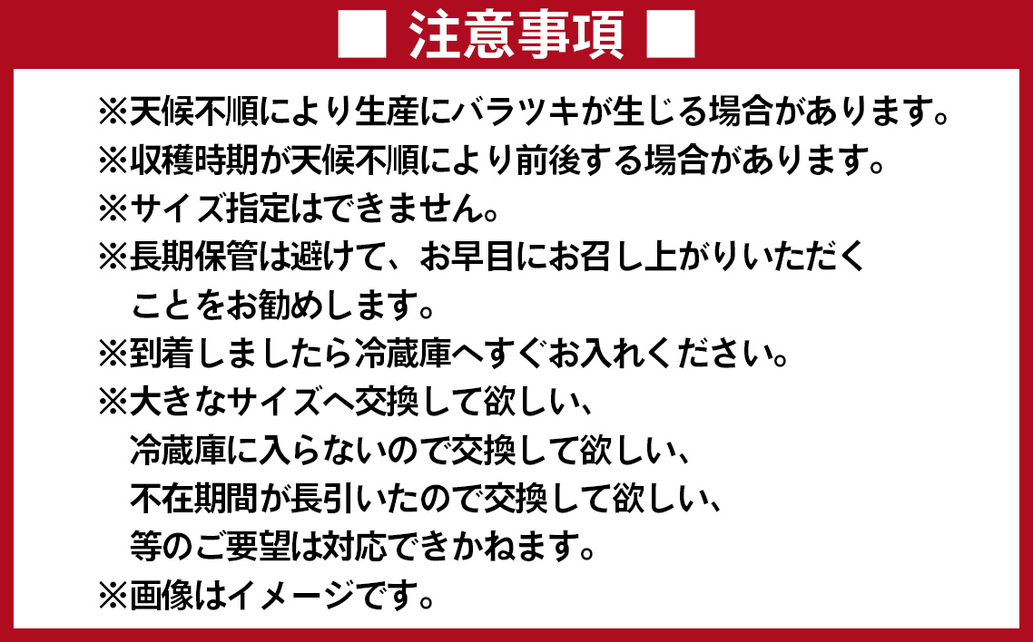 No.011 井上さんの西瓜「自信作（赤肉スイカ）」2Lサイズ以上1玉