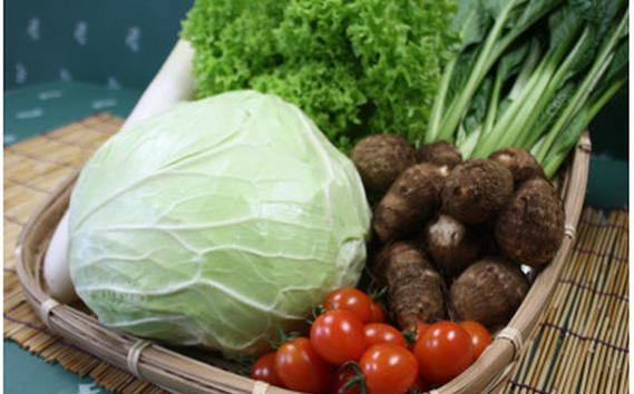 No.069 野菜セット6〜7種＋古代米バウムクーヘン