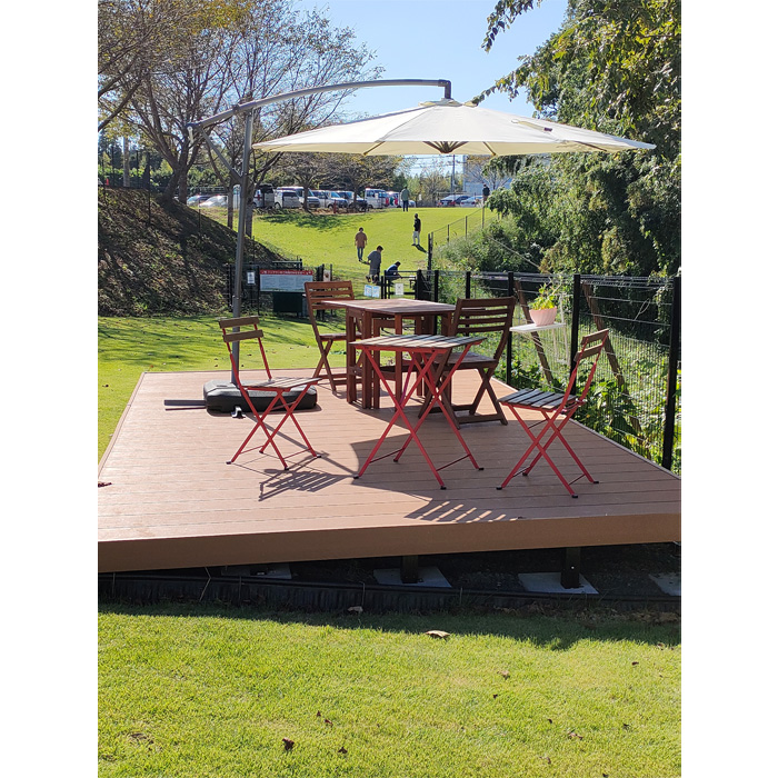 No.030 サテライト成田　お食事券付き　特別観覧席招待券　2回分