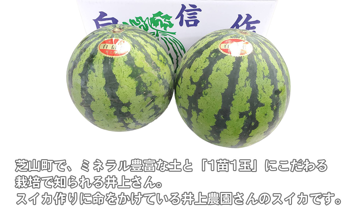 No.012 井上さんの西瓜「自信作（赤肉スイカ）」2Lサイズ以上2玉