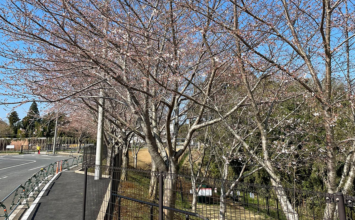 No.030 サテライト成田　お食事券付き　特別観覧席招待券　2回分