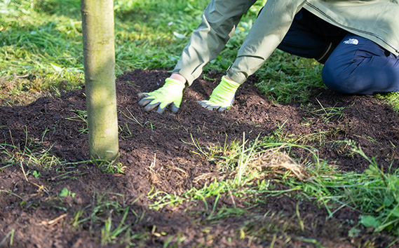 No.059 繧オ繝ゥ繝悶Ξ繝繝峨さ繝ウ繝昴せ繝医5kg