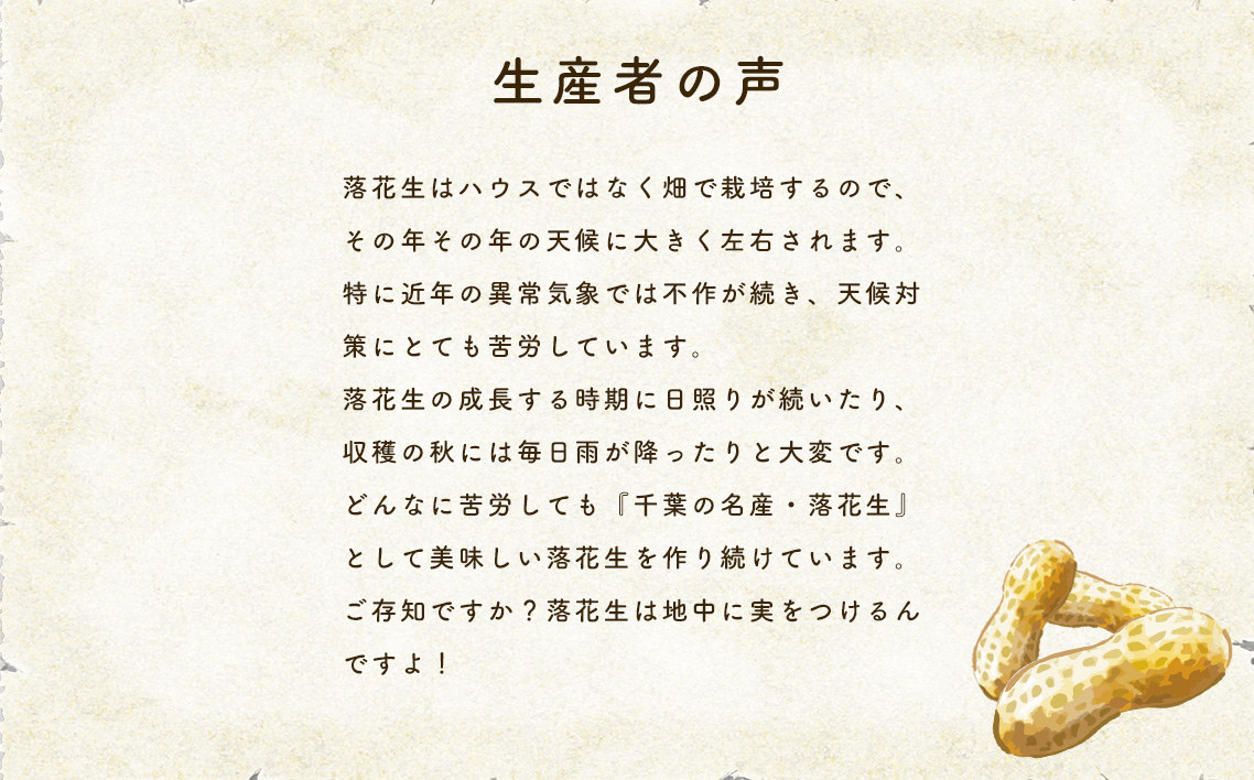 No.029 千葉県産落花生・千葉半立3袋