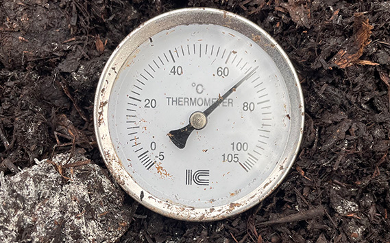 No.059 繧オ繝ゥ繝悶Ξ繝繝峨さ繝ウ繝昴せ繝医5kg