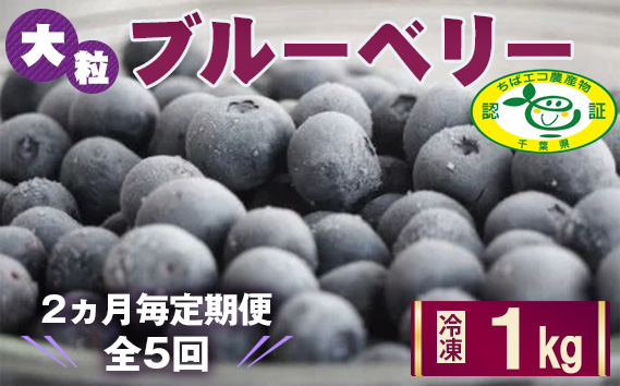 No.060 ＜2ヵ月毎定期便＞大粒冷凍ブルーベリー1kg「るりしずく」　全5回