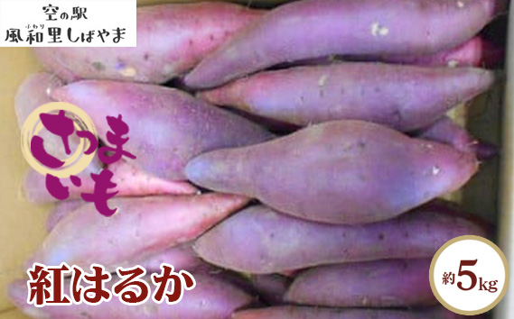 No.067 サツマイモ箱（紅はるか）約5kg