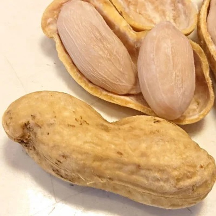 No.039 冷凍ゆで豆・おおまさり　500g×2袋