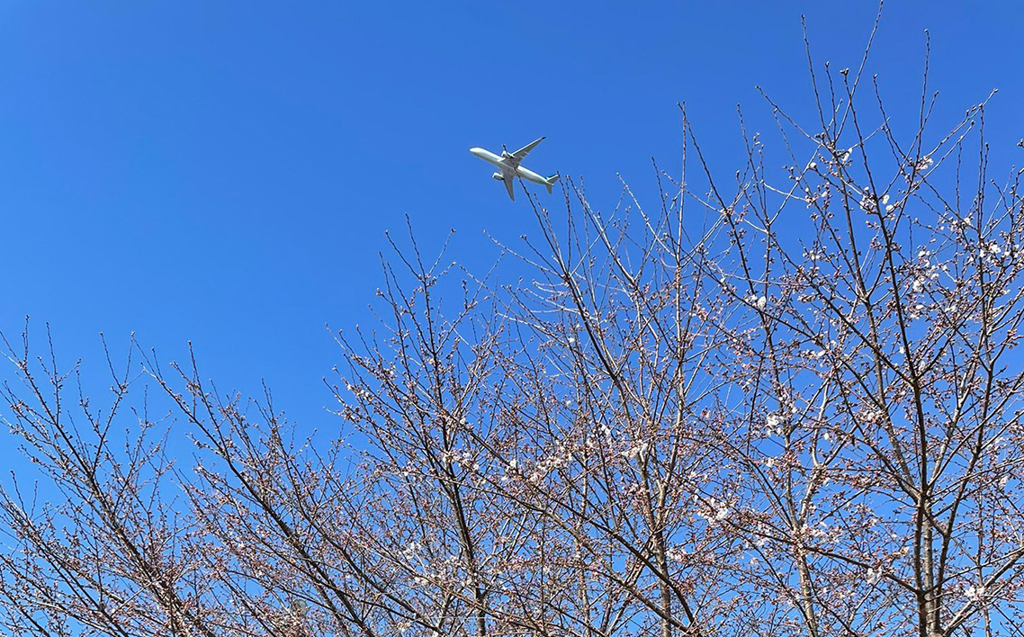 No.030 サテライト成田　お食事券付き　特別観覧席招待券　2回分