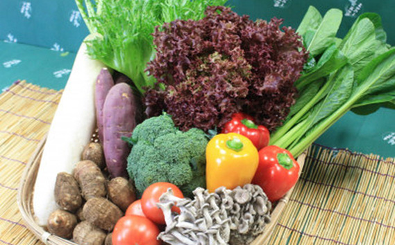 No.063 驥手除繧サ繝繝茨シ10遞ョ莉・荳奇シ