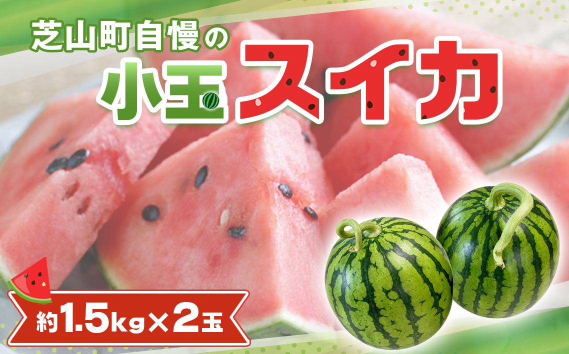 小玉スイカ ／ すいか 小玉 約1.5kg×2玉 芝山町産 厳選 旬 食べきりサイズ 水分補給 夏 甘い 高糖度 おやつ デザート 西瓜 お取り寄せ 産地直送 産直 送料無料 青果 千葉県 No.094
