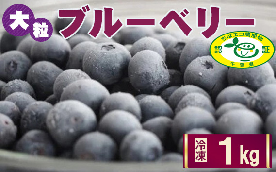 No.028 ［栽培期間中農薬不使用］大粒冷凍ブルーベリー1kg「るりしずく」　千葉県芝山町産