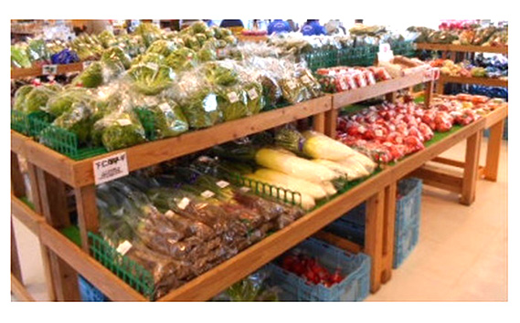 No.063 驥手除繧サ繝繝茨シ10遞ョ莉・荳奇シ