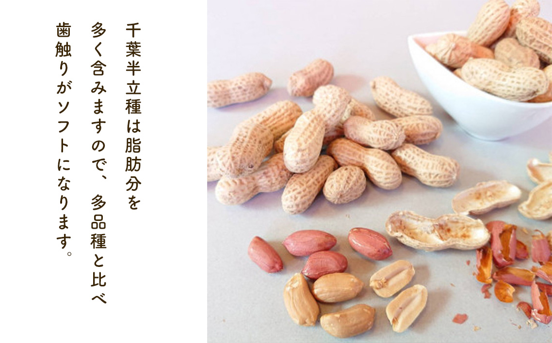 No.029 千葉県産落花生・千葉半立3袋
