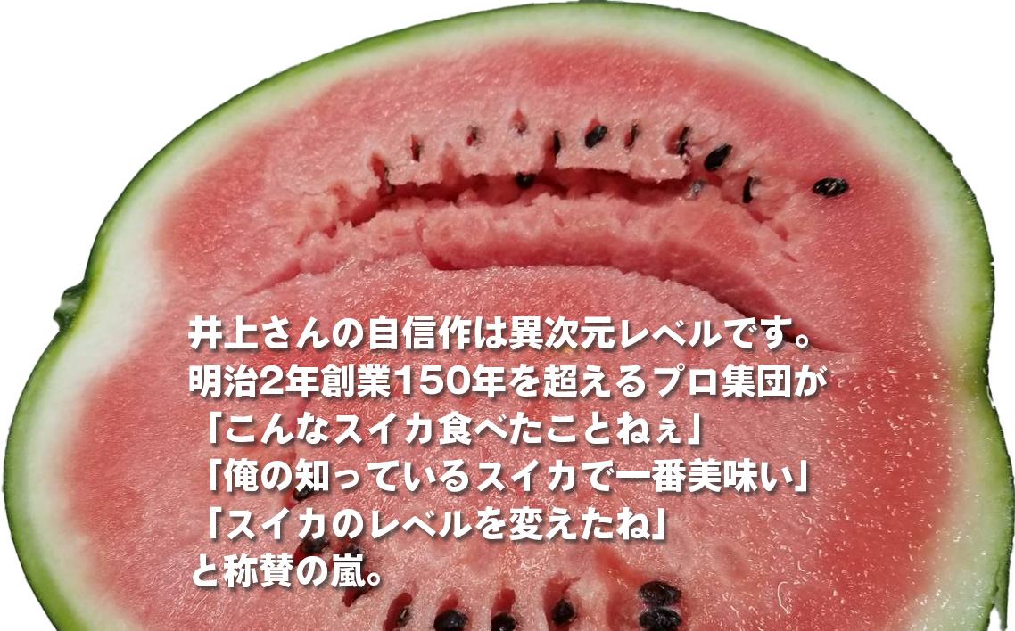 No.011 井上さんの西瓜「自信作（赤肉スイカ）」2Lサイズ以上1玉