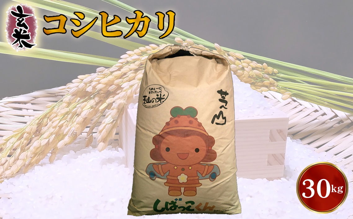 No.089 令和7年産　千葉県芝山町産　コシヒカリ　玄米30kg　色選処理済