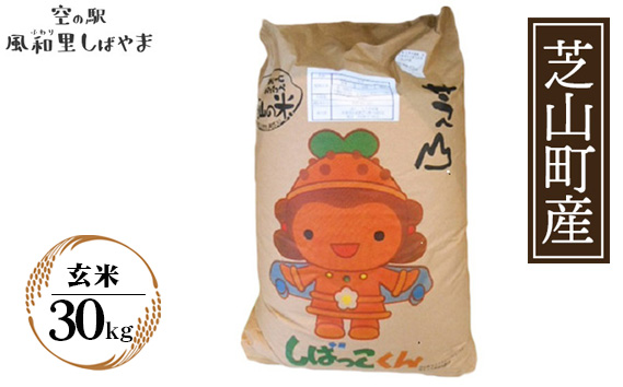 No.075 令和7年産　芝山産コシヒカリ30kg（玄米）