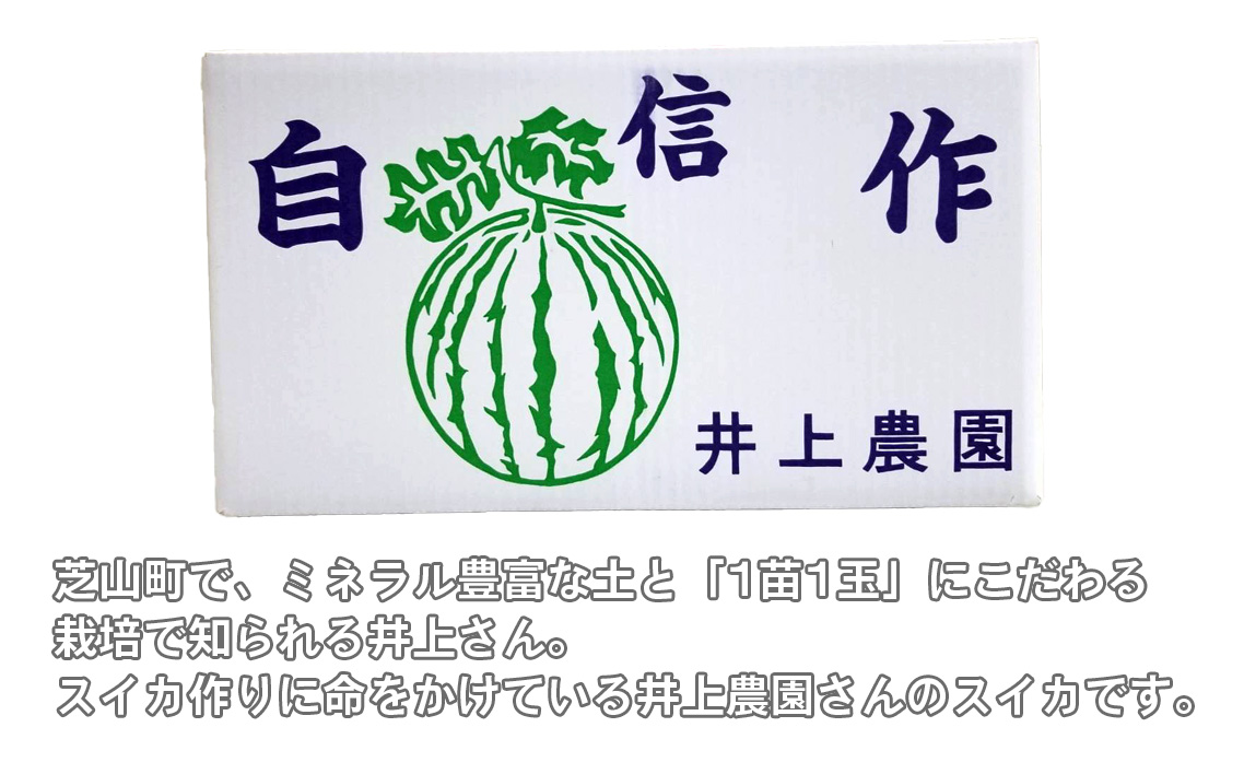 No.011 井上さんの西瓜「自信作（赤肉スイカ）」2Lサイズ以上1玉