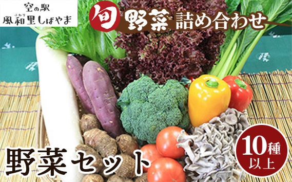 No.063 野菜セット（10種以上）