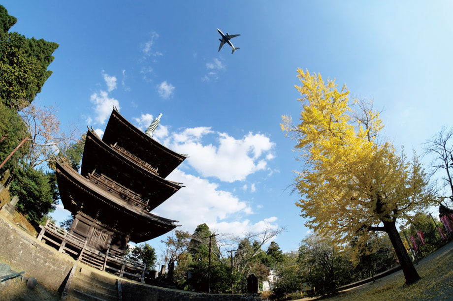 その他目的達成のために町長が必要と認める事業